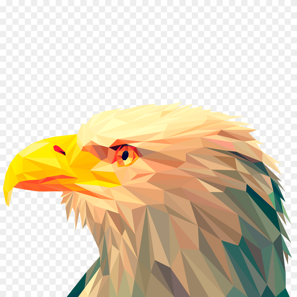 Hawk Face Clipart, Animal, Beak, Bird, Eagle Free Transparent Png