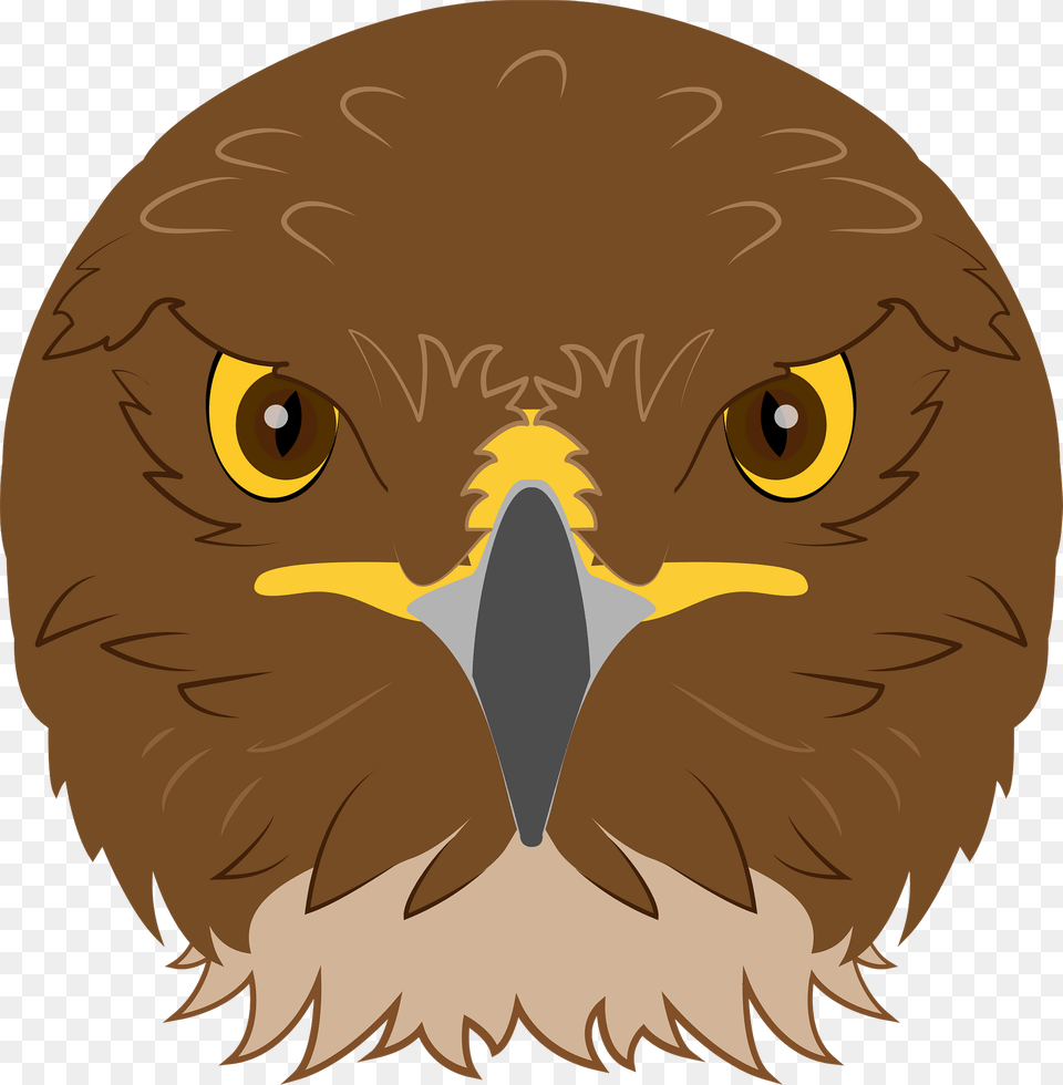 Hawk Face Clipart, Animal, Beak, Bird, Eagle Png Image