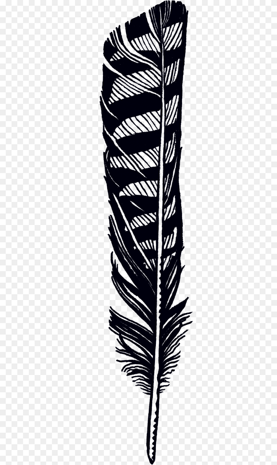 Hawk Feather Black And White Ink Feather Drawing, Brush, Device, Tool, Bottle Free Png