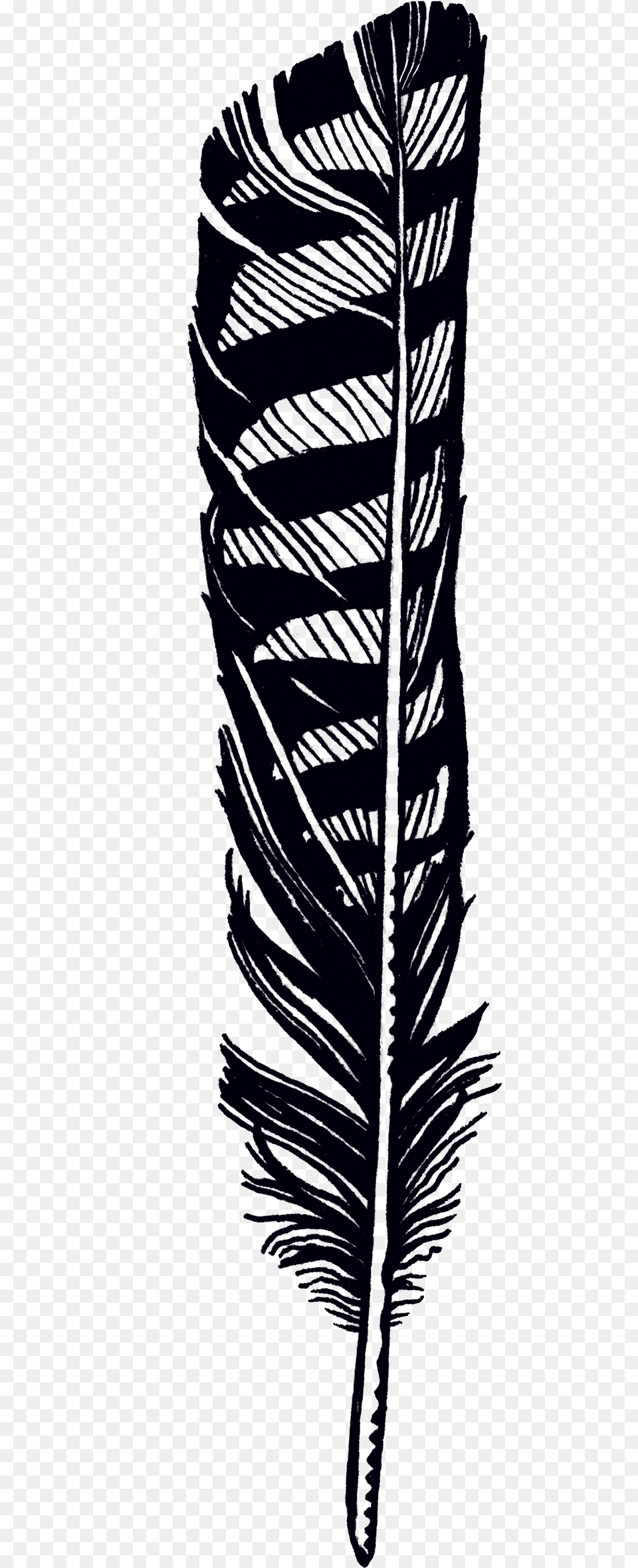 Hawk Feather Tattoo Designs, Brush, Device, Tool, Bottle Free Png Download