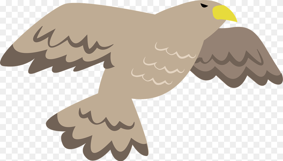Hawk Flying Clipart, Animal, Beak, Bird, Kite Bird Png Image