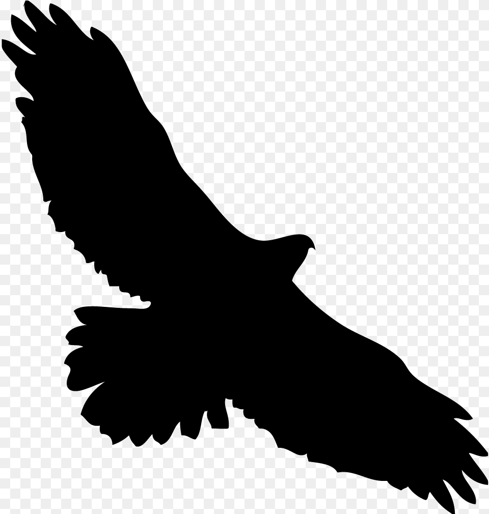 Hawk Flying Silhouette Clip Art Black And White Red Tailed Hawk Silhouette, Animal, Bird, Vulture, Eagle Png Image