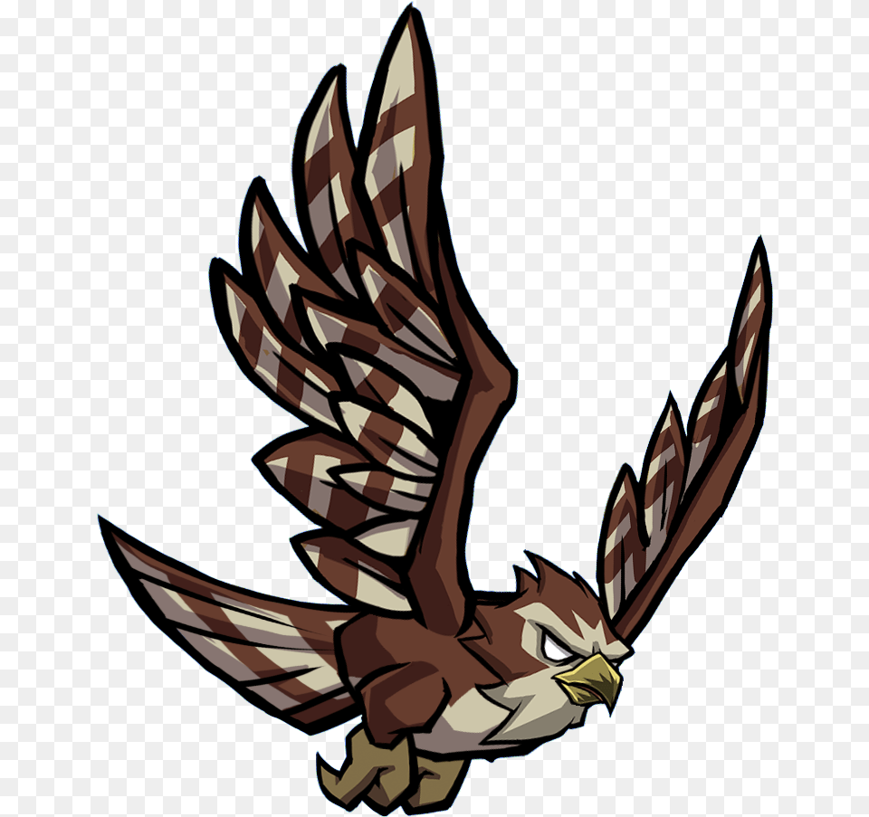 Hawk Hawk, Animal, Bird, Kite Bird, Person Png