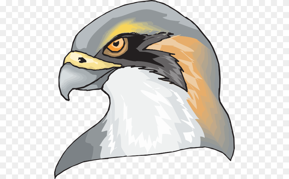 Hawk Head Clip Art, Animal, Beak, Bird, Eagle Png Image