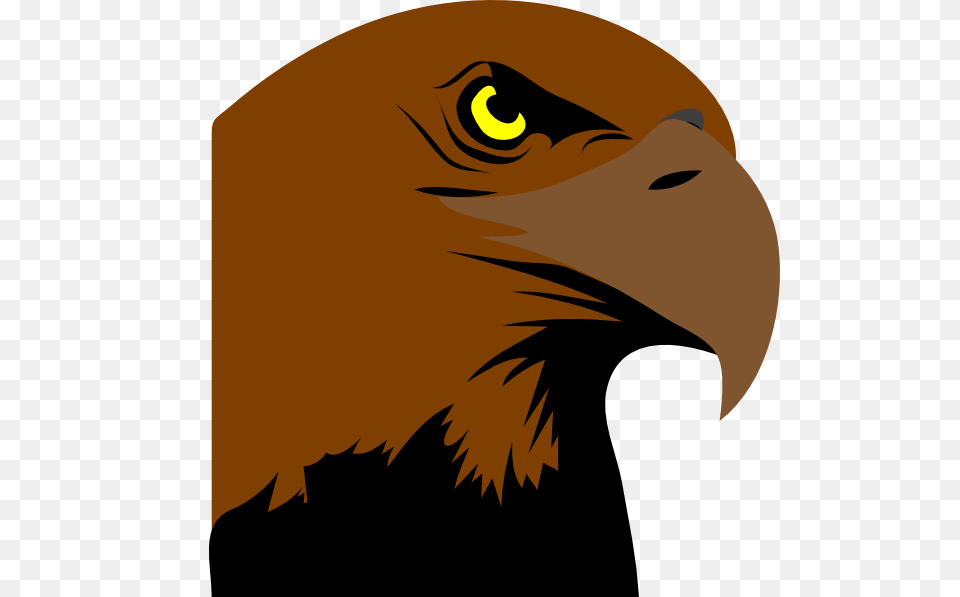 Hawk Head Logo Clip Arts For Web, Animal, Beak, Bird, Eagle Png