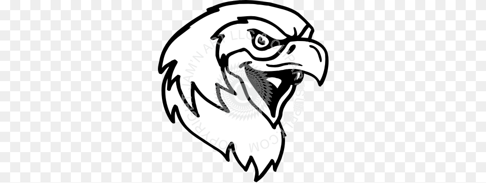 Hawk Head Open Mouth, Animal, Beak, Bird, Eagle Free Transparent Png