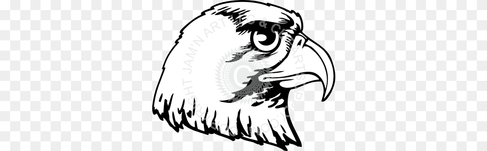 Hawk Head With Curved Beak, Animal, Bird, Eagle, Person Free Png Download