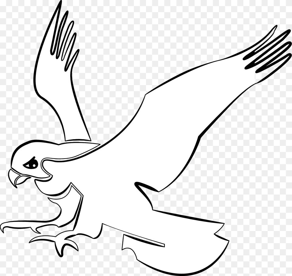 Hawk In Flight Black And White Clipart, Animal, Bird, Flying, Kite Bird Png