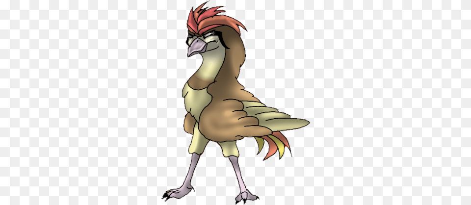 Hawk Kingdom Of Pokemon Wiki Fandom Rooster, Adult, Female, Person, Woman Free Transparent Png