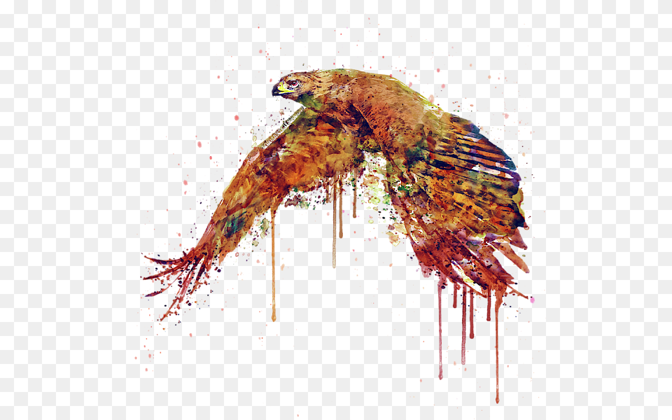Hawk Painting, Fireworks, Art, Animal, Dinosaur Png Image