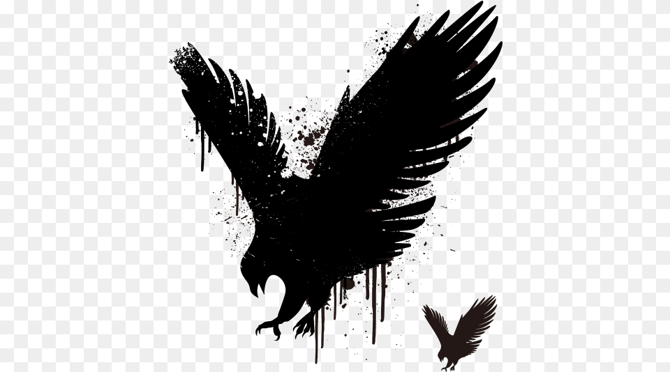Hawk Stencil Euclidean Vector Eagle Eagle39s Wings Design, Animal, Bird, Flying, Blackbird Free Png Download