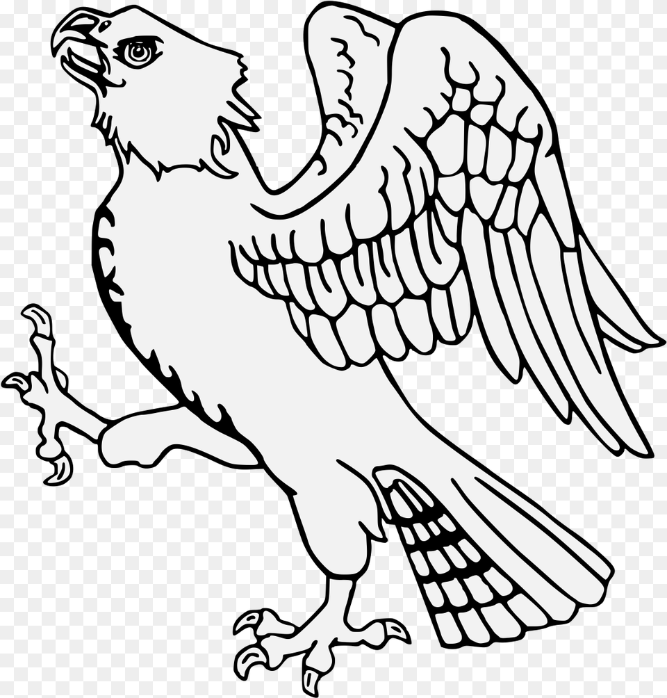 Hawk Traceable Heraldic Art Lovely, Person, Face, Head, Animal Free Png