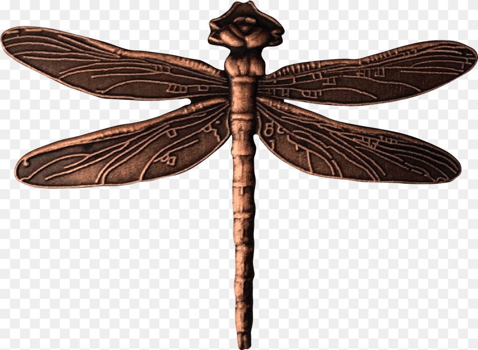 Hawker Dragonflies, Animal, Dragonfly, Insect, Invertebrate Png Image