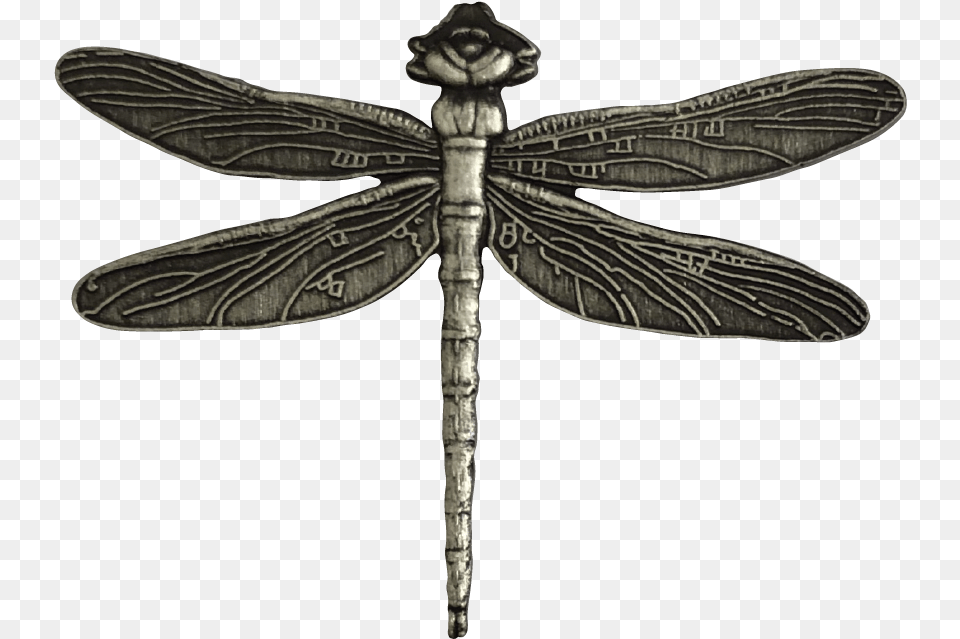 Hawker Dragonflies, Animal, Dragonfly, Insect, Invertebrate Free Transparent Png