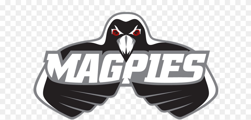 Hawkes Bay Magpies Rugby Logo, Animal, Beak, Bird, Vulture Free Png