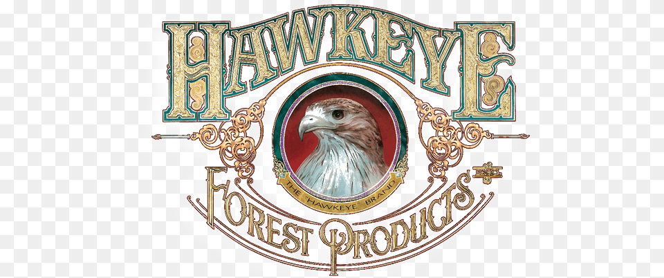 Hawkeye Forest Products Accipitridae, Animal, Bird, Logo, Beak Free Transparent Png