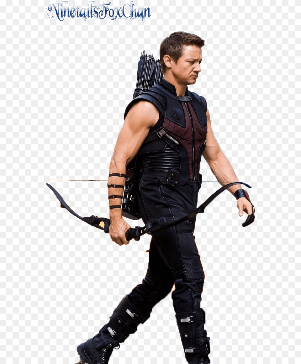 Hawkeye Download Marvel The Avengers Hawkeye Clinton Francis Barton, Adult, Person, Man, Male Free Transparent Png