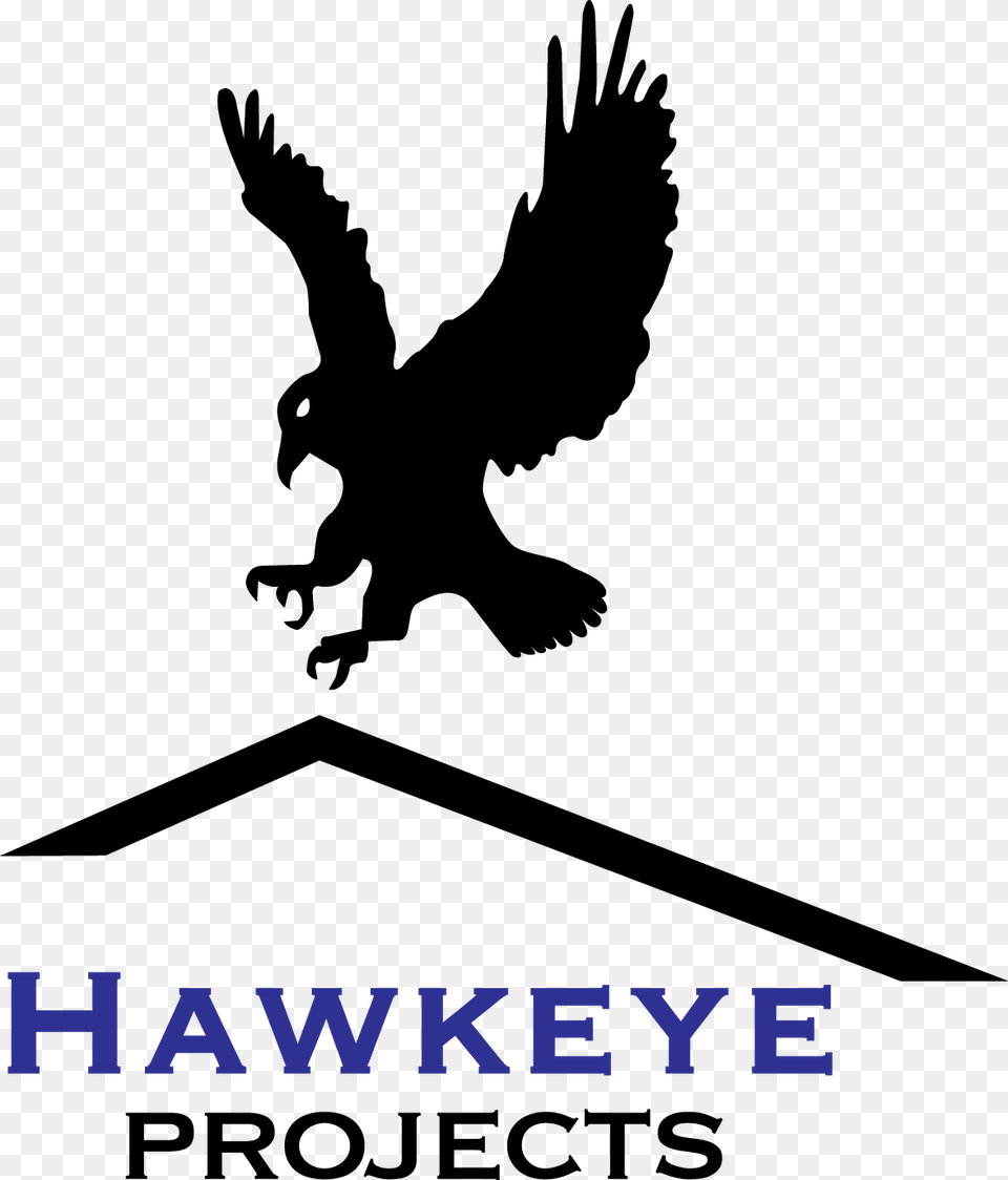 Hawkeye Logo Colour Hr Hawk, Outdoors, Nature, Text Free Transparent Png