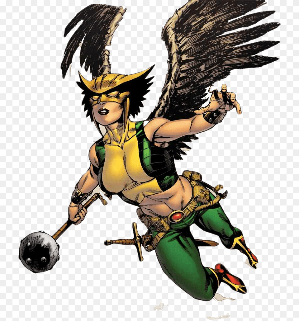 Hawkgirl File Hq Image Hawkgirl, Book, Comics, Publication, Adult Free Transparent Png