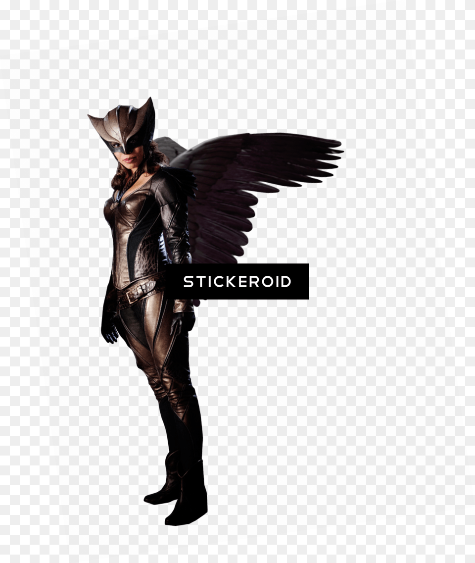 Hawkgirl Transparent, Adult, Male, Man, Person Free Png