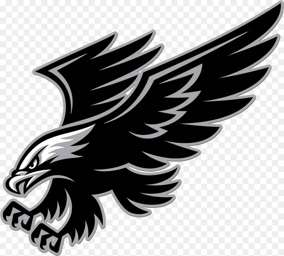 Hawks Logo Bellingham Blackhawks, Animal, Bird, Eagle, Emblem Png