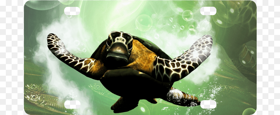 Hawksbill Sea Turtle Download Sea Turtle, Animal, Reptile, Sea Life, Sea Turtle Png