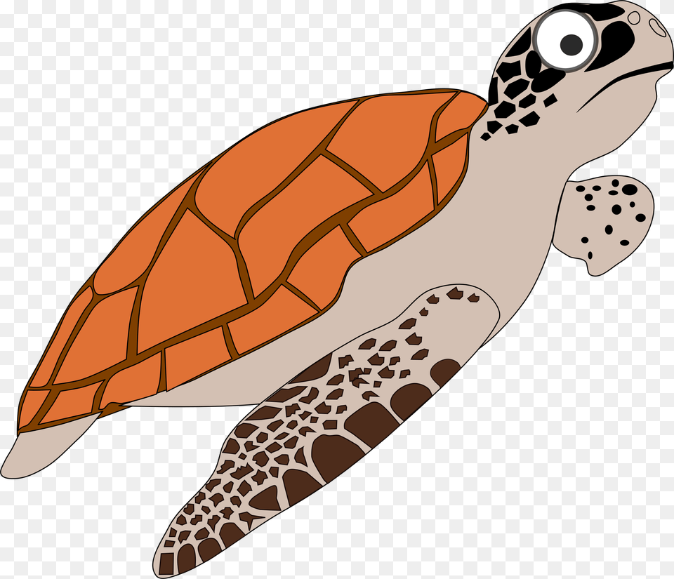 Hawksbill Turtle Cliparts, Animal, Reptile, Sea Life, Sea Turtle Free Png Download