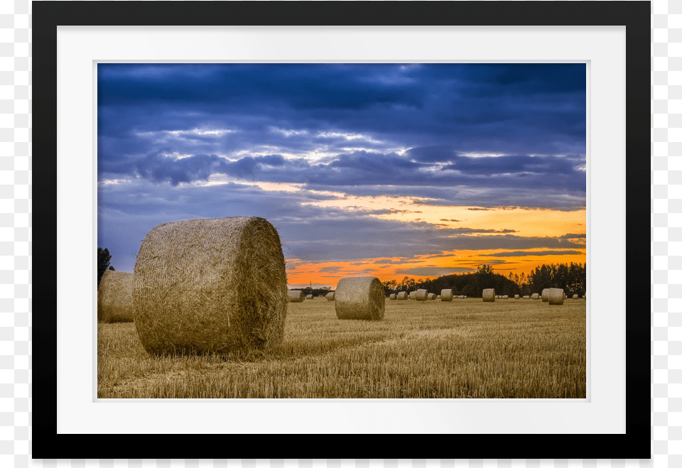 Hay, Countryside, Straw, Outdoors, Nature Png Image