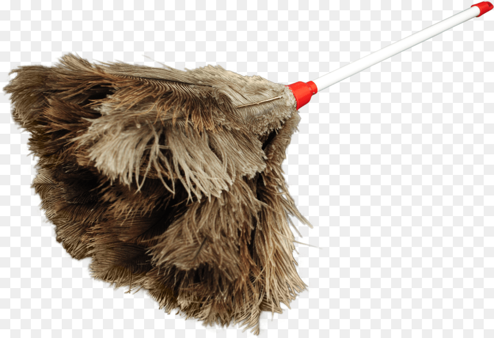 Hay, Broom, Animal, Bird Free Transparent Png