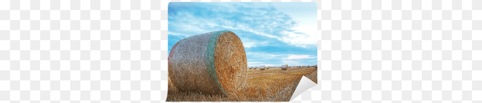 Hay, Agriculture, Rural, Outdoors, Nature Png
