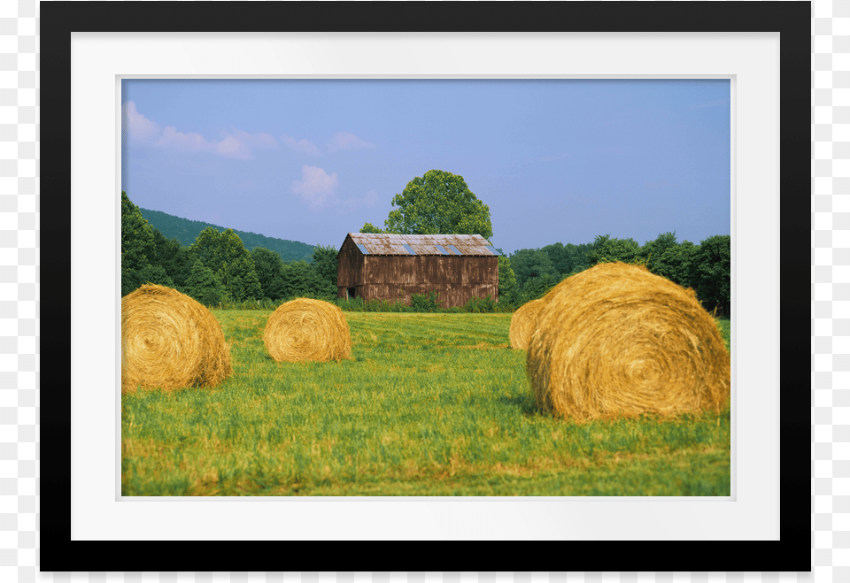 Hay Bail, Straw, Countryside, Outdoors, Nature Free Transparent Png