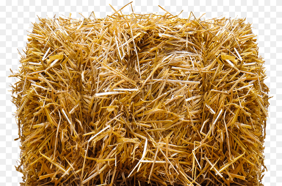 Hay Bale, Countryside, Nature, Outdoors, Straw Free Png Download