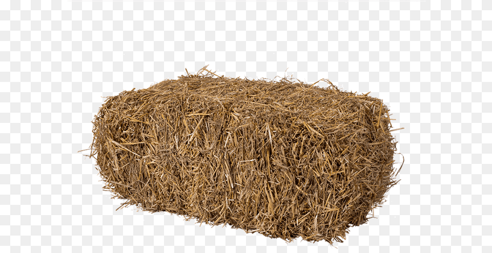 Hay Bale, Countryside, Nature, Outdoors, Straw Free Transparent Png