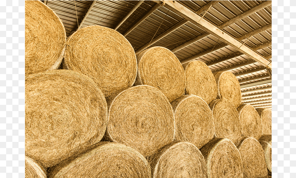Hay Bale Hay Bales, Countryside, Nature, Outdoors, Straw Free Transparent Png