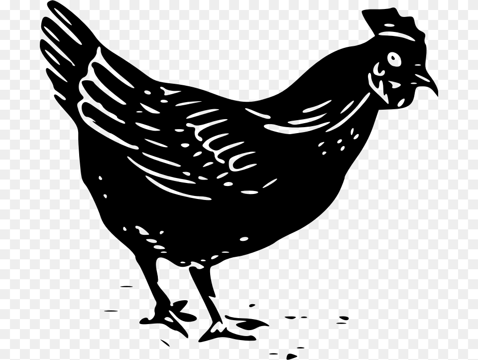 Hay Clipart Chicken Black And White Chicken Clip Art, Gray Png