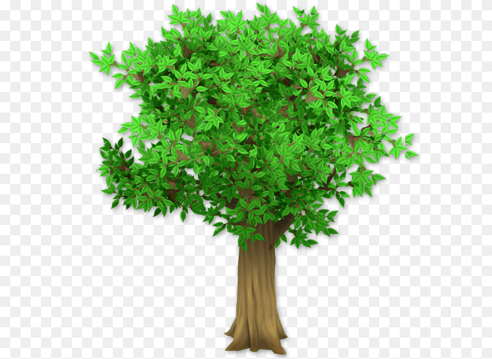 Hay Day Wiki Hay Day, Green, Vegetation, Tree, Plant Png