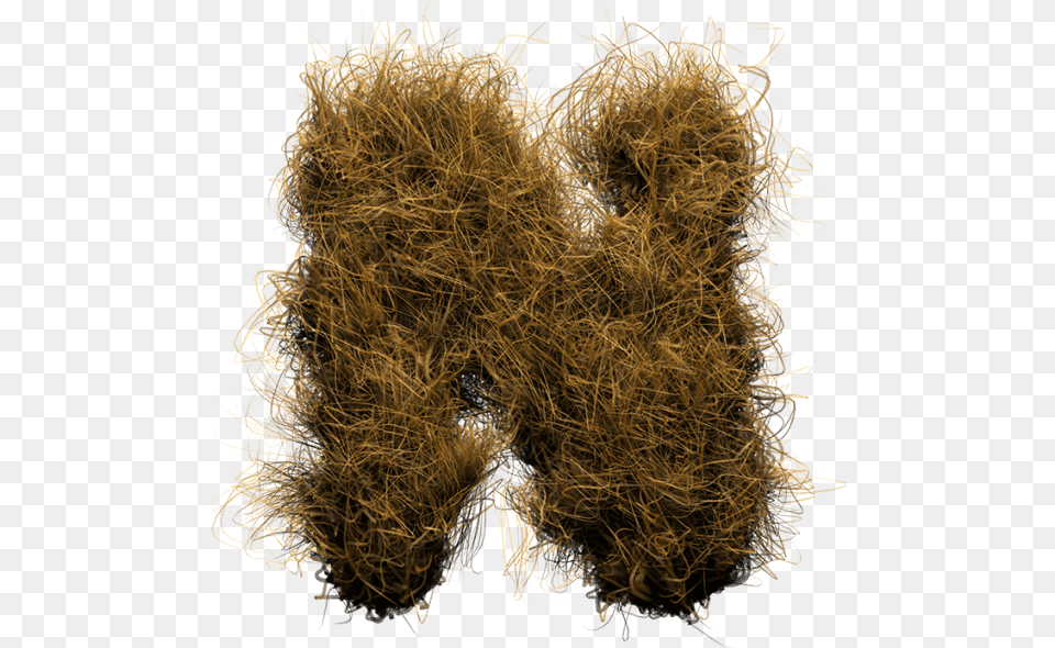 Hay Fur Font, Food, Noodle, Pasta, Plant Png Image