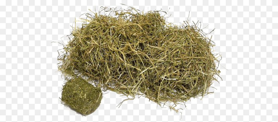 Hay Hay, Countryside, Nature, Outdoors, Straw Free Png