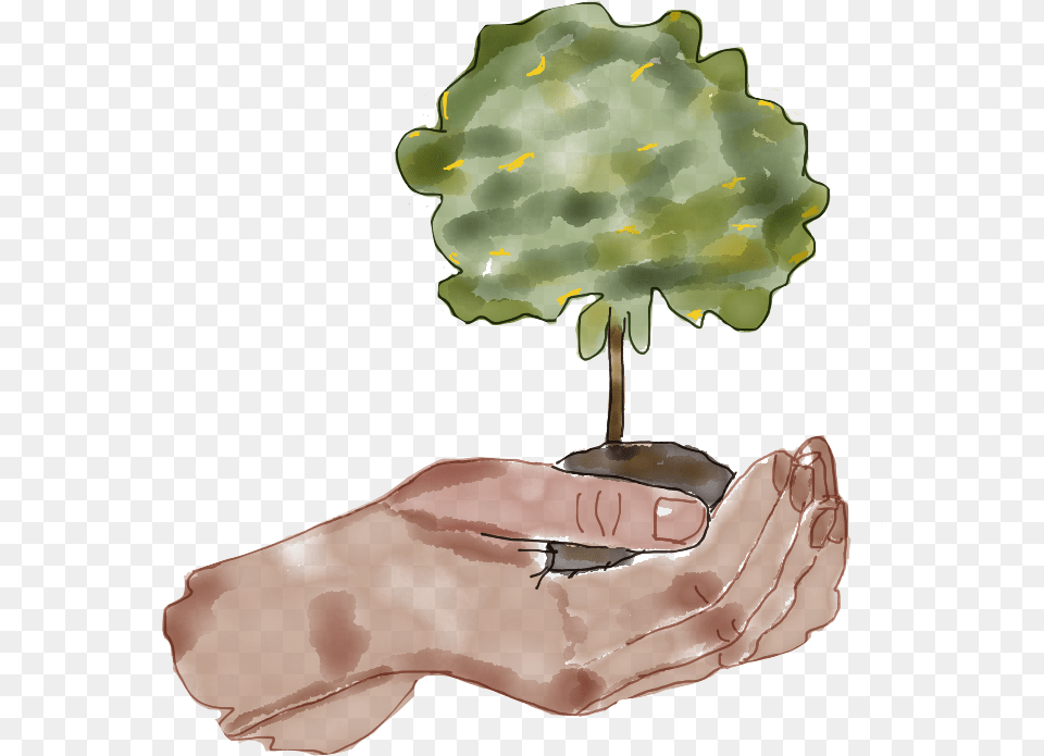 Hay Reforestadors En Muchos Sitios Y Cada Da Se Nos Illustration, Plant, Tree, Body Part, Hand Free Transparent Png