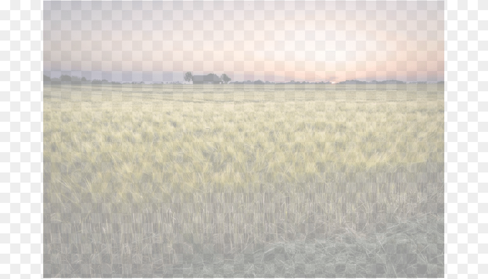 Hayfield Background, Sky, Horizon, Outdoors, Nature Png Image