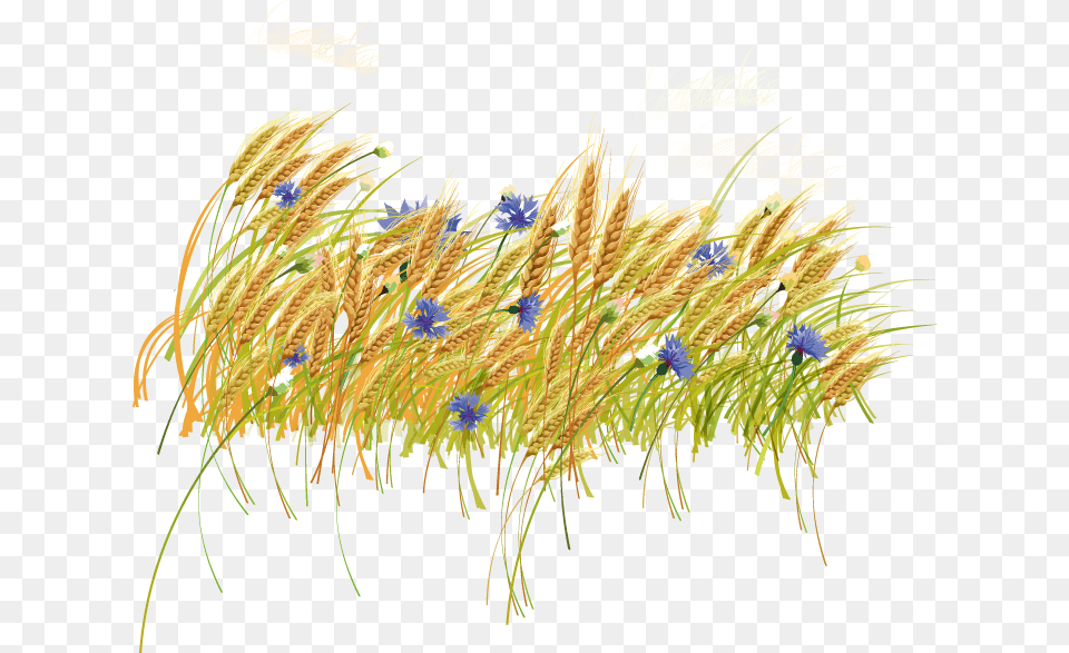 Haystack Clipart Hay Grass Clip Art, Plant, Pattern, Pollen, Flower Free Png