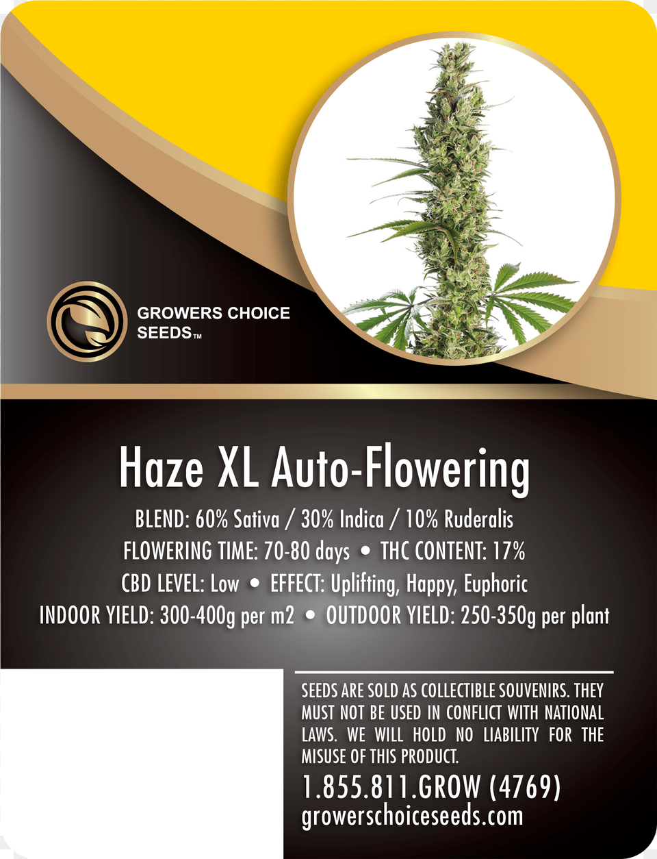 Haze Xl Auto Flowering Feminized Cannabis Seeds Growers Choice Gorilla Glue, Advertisement, Poster, Plant, Herbal Png Image