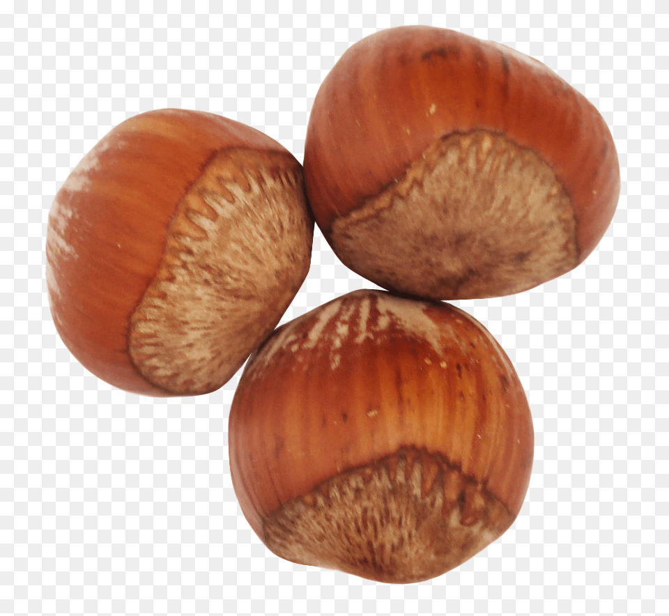 Hazelnut, Vegetable, Produce, Plant, Nut Free Png