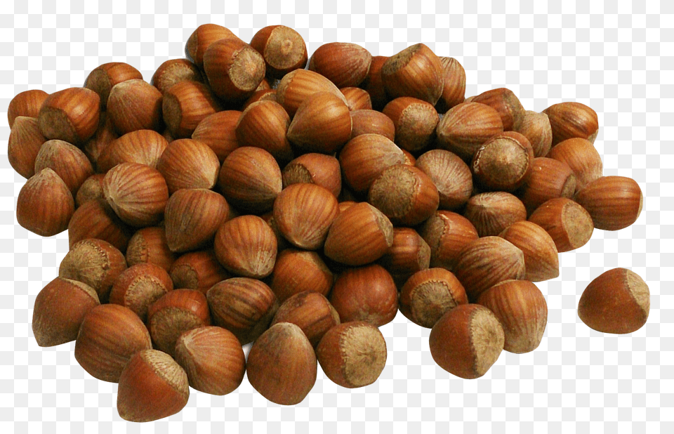 Hazelnut, Food, Nut, Plant, Produce Png