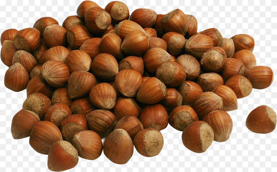 Hazelnut, Food, Nut, Plant, Produce Free Png