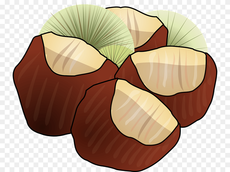 Hazelnut Clipart Pictureu200b Chestnuts Clipart, Food, Nut, Plant, Produce Free Transparent Png