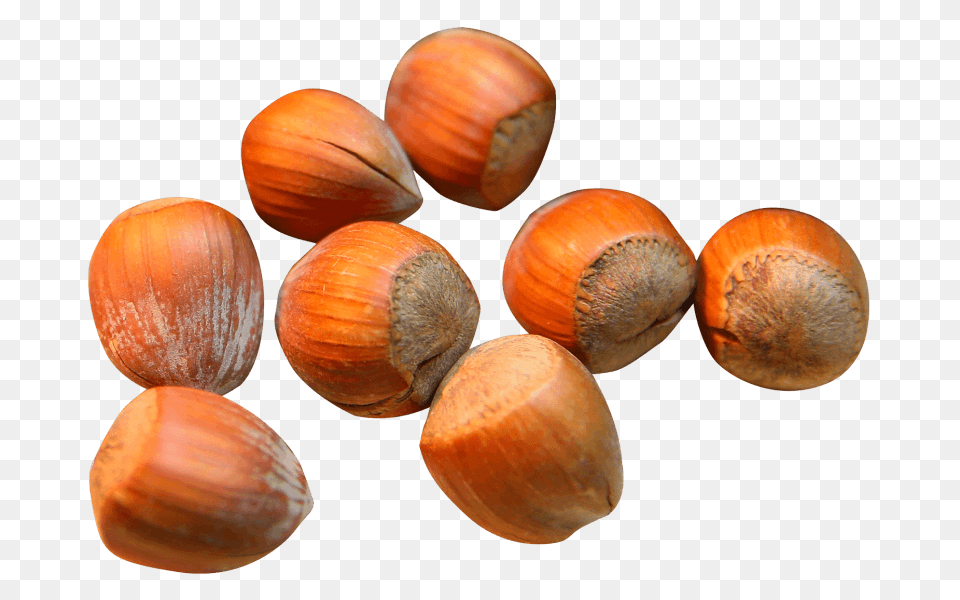 Hazelnut Clipart Transparent, Food, Nut, Plant, Produce Free Png