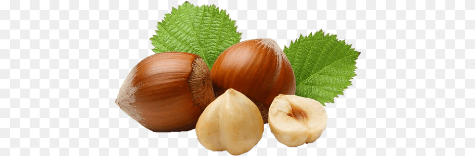 Hazelnut Hazelnut, Food, Nut, Plant, Produce Png Image
