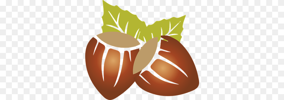 Hazelnuts Food, Nut, Plant, Produce Png Image