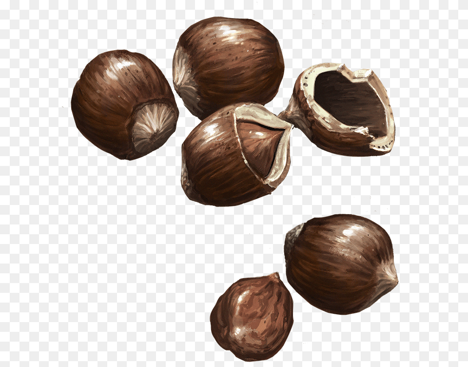 Hazelnuts Chocolate, Vegetable, Produce, Plant, Nut Png Image